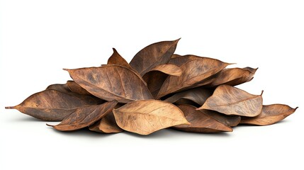 Dried brown leaves, isolated on a white background.