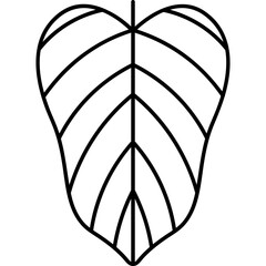 Nature leaf icon Illustration Design