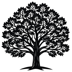 Obraz premium Oak Trees icon set on white background