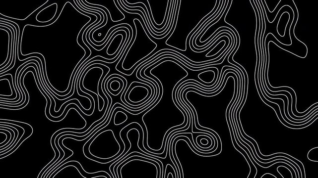 Black and white topographic map suitable for geography textbooks, outdoor adventure posters, and educational materials on landforms and elevation. seamless looping background.