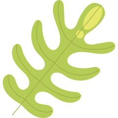 Leaves Plants Illustration Design 