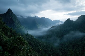 Serene morning in a dense rainforest. with sunlight filtering through the trees. illuminating misty air and creating a tranquil atmosphere perfect for nature enthusiasts