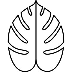 Leaves Plants Illustration Design 