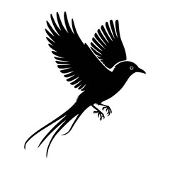 Flying bird silhouette on white background