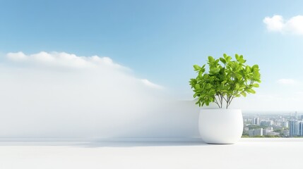 Modern Balcony View with Plant