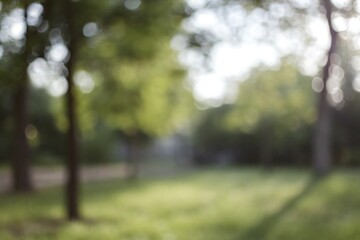 Fototapeta premium Nature event in green environment with blur background lush landscape and serenity