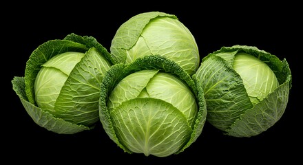 Fototapeta premium Farm Fresh Cabbages 