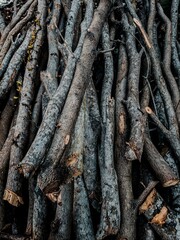 pile of firewood