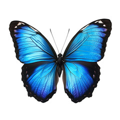 Lifelike blue butterfly isolated on transparent background