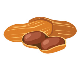 peanuts. Delicious tasty peanuts snack, raw peanut in shell flat vector illustration. Crunchy peanuts nuts 