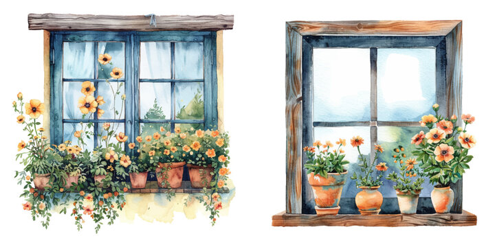 window flowers watercolor vector illustration