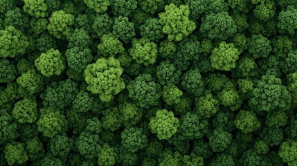 Lush Green Forest Canopy Aerial View Dense Treetops Texture Background
