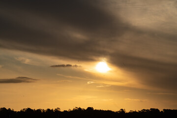 Silhouette of Albany Park, Auckland with sunset in background