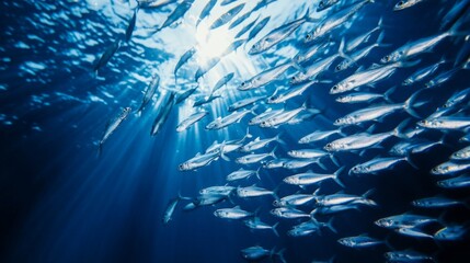 Schools of fish swim gracefully through clear blue waters beneath the sunlit surface in a serene underwater environment