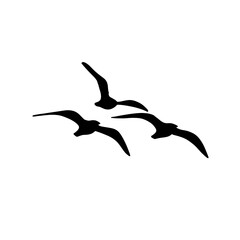 Seagull silhouette icon