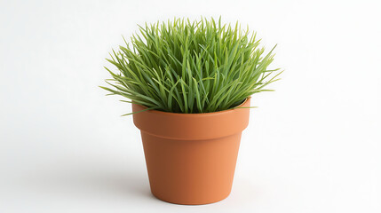 Fototapeta premium A small plant in a brown pot sits on a white background