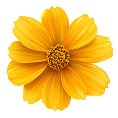 Obraz premium Realistic vector image of a vibrant yellow coreop isolated on transparent background