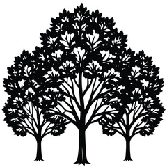 Hickory Trees icon set on white background
