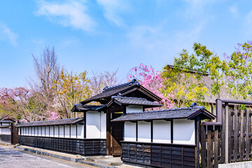 春 宮城の小さな町を歩く
(とめしとよままち)
