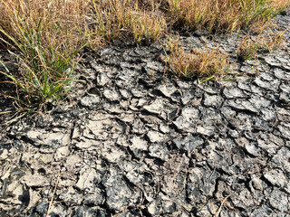 cracked soil in the garden.