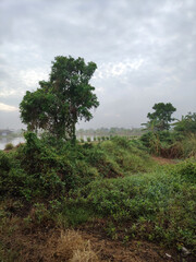 Fototapeta premium river in rural area in Thailand in summer season