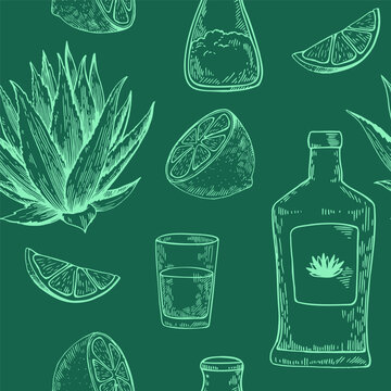 Seamless pattern with agave plant, lemon and tequila. Hand drawn illustration in engraving style. Vector retro print for design.