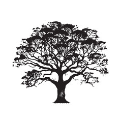 Obraz premium Tropical Cinchona Tree Silhouette Vector Isolated