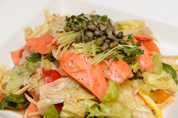 Salmon Vegetable Salad
