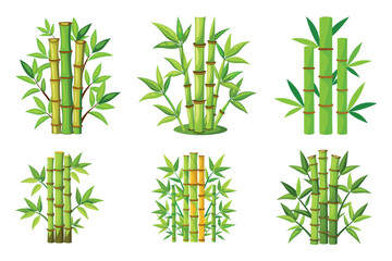 Obraz premium Six different bamboo stalks clustered together with green bamboo leaves around them