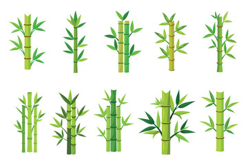 Fototapeta premium Ten Green Bamboo Stalks with Lush Green Leaves in Vector Format