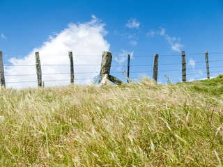 Fototapeta premium White cloud in blue sky over ridge fence-line Agricultural background, field, fence and sky