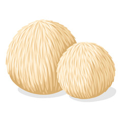 Illustration of lion's mane mushroom, isolated on white background.