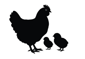 Hen and Chicks Silhouette. A black silhouettes image of a hen and chicks, also referred to as poultry or domestic birds, highlighting family bonds and nurturing. Vector clipart illustration design.