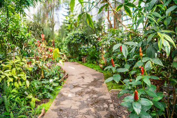 Greenhouse of botanical garden in Kemerovo, rare plants from various climate zones. Ecotourism, sustainable exploration, global plant heritage preservation