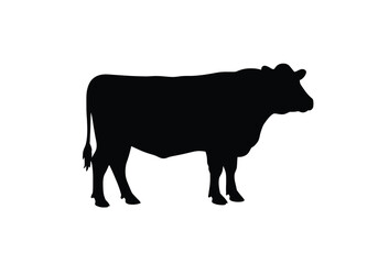 Beef Cow Silhouette. This image shows a black silhouette of a beef cow, also referred to as cattle or bovine, standing in profile view. Vector clipart illustration design.