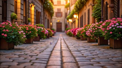 Fototapeta premium Charming European Street with Blooming Flowers and Cobblestone Pathway at Sunset