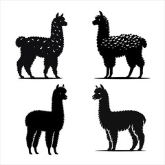 Fototapeta premium Alpaca Silhouette Vector Illustration for Farm Animal Logo Design and Wool Industry Branding Icon Graphic Template with Isolated Black Outline Standing Cute South American Wildlife Mammal