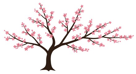 Obraz premium Blooming Cherry Tree Vector Graphic with Pink Flowers on White Background