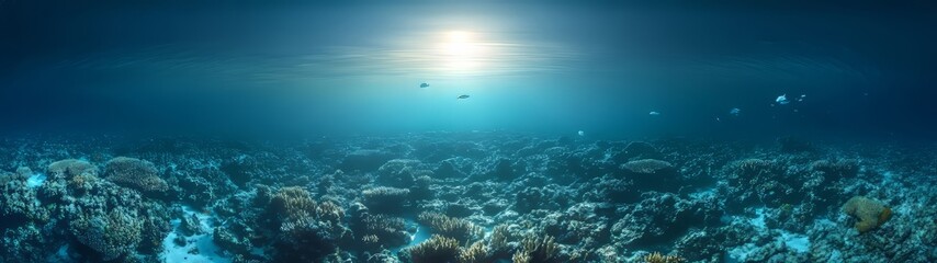 Fototapeta premium Underwater coral reef exploration ocean 360 degree hdr experience marine environment