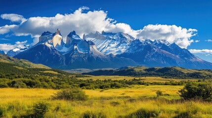Vast, sun-drenched landscape of  mountain range and golden meadow.