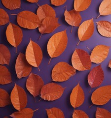 Obraz premium Geometric dry orange leaves, rich violet hue Textured, artistic leaf arrangement , botanical, orange, color