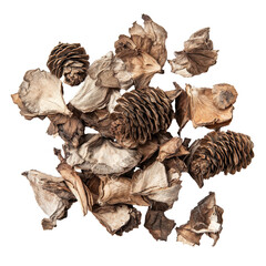 Dried pine cones and petals arranged in an artistic composition on a white background