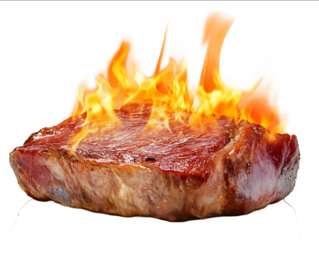 flying meat with burning fire isolated on white background photo front view variation high detail texture ultra detail midshot