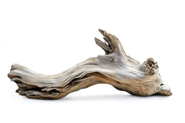 Driftwood isolated 