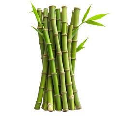 Fototapeta premium Lush Green Bamboo Stalks Bundle Nature Plant