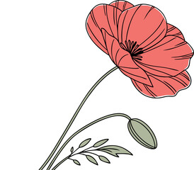 Beautiful Poppy Flower Vector Art Collection