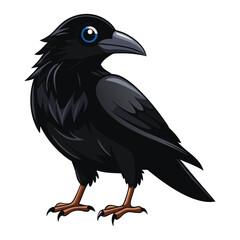 Obraz premium Crow Vector 