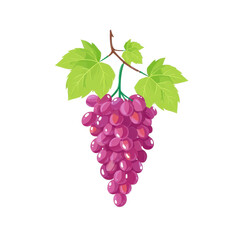 Bunch of purple grape with green leaf flat illustration fresh fruit healthy food isolated on transparency background vibrant color natural organic juicy sweet