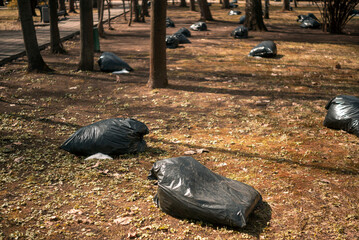 bags with fallen leaves i