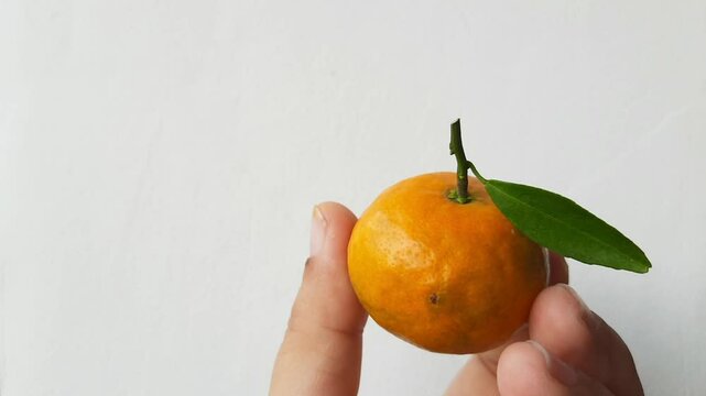 hand holding a fresh small orange with a green leaf attached, isolated on a white background. 